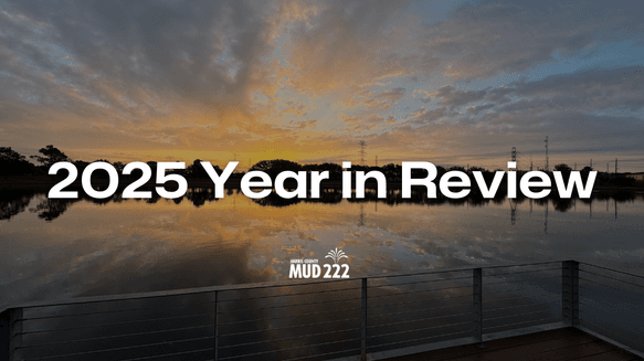 2025 Year in Review MUD222.png